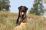 BEAUCERON 516